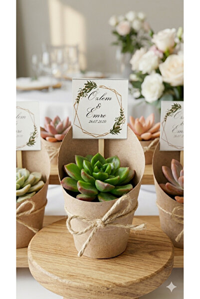 ORGANİZASYON HEDİYEM 20 Adet Doğum-doğum Günü-baby Shower-40 Uçurtma-kurumsal...