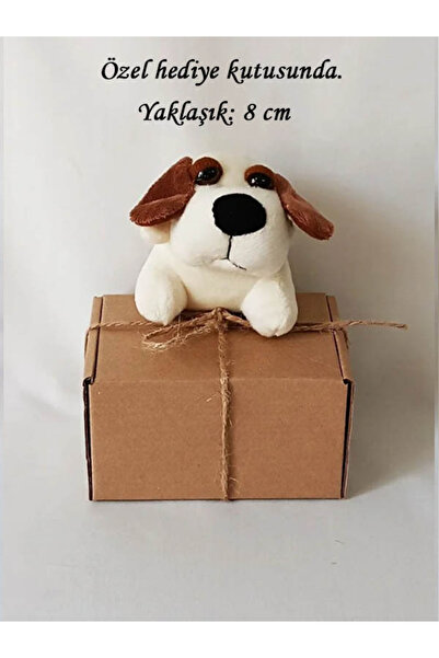 White Plush Toy Plump Dog Keychain with Kraft Box 8cm-Birthday - Bag Ornament