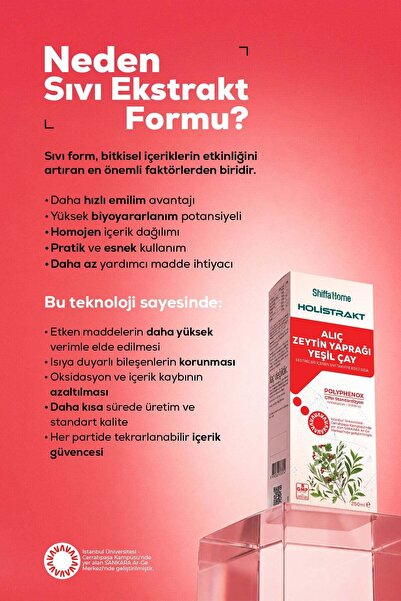 Shiffa Home HOLİSTRAKT - Alıç, Zeytinyaprağı ve Yeşilçay İçeren Sıvı Ekstrakt 250 ML