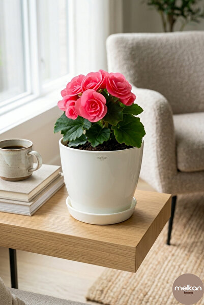 Modern Begonia Flower Pot 2.2 Liter Saucer Flower Pot – Indoor and Outdoor 16x15 cm