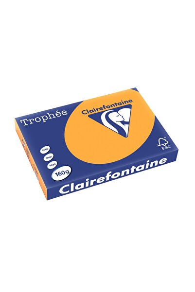 Clairefontaine Carton A3 160 g/m² culoare palidă 250 buc/cutie portocaliu