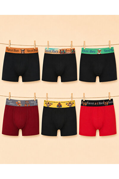 Vincent Rborn Men's Cotton Flexible 6 Pack Boxer Teddy & Teddy Builder
