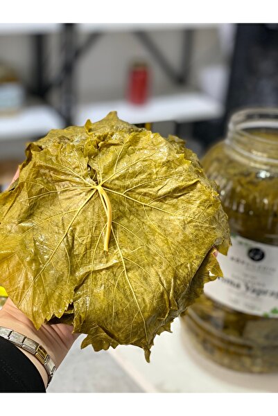 KÖYKİLERİM (2025 MAHSULÜ) Manisa Salamura Yaprak 5kg’lık Bidon Net:3.5 Kg
