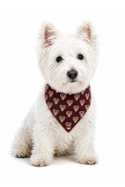 Angelapets Adjustable Scarf, Chest Harness and Travel Strap Set of 3