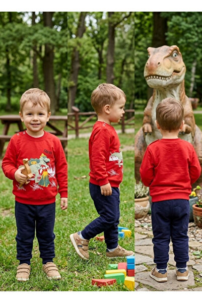 meyastore Boy's dinosaur print outfit set