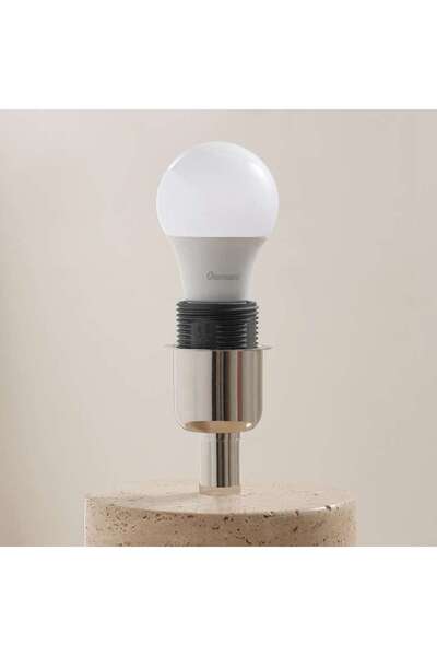 PAN HOME Osthraco 2-piece 5w E27 Led Filament Bulb Warm White 11.5x15cm - White