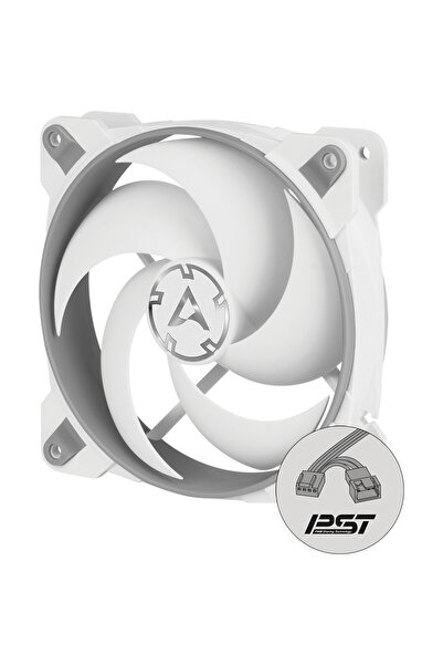 Arctic BioniX P120, Gri-Alb