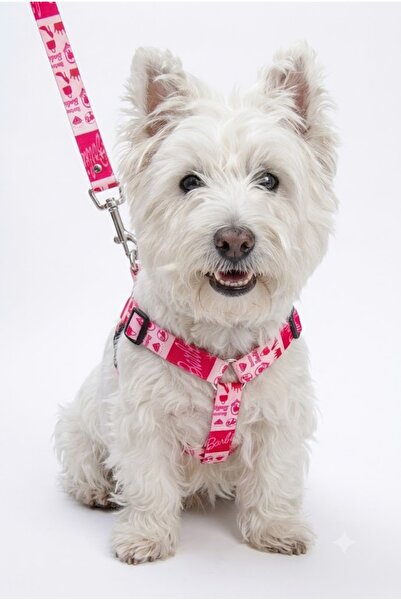 Angelapets Dog Chest Collar, Walking Strap Set Cars Series