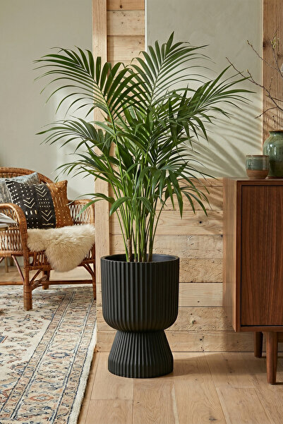 Bliss Lotus Vazo Saksı 10,5 litre Plastik Çiçek Saksısı Salon Saksısı