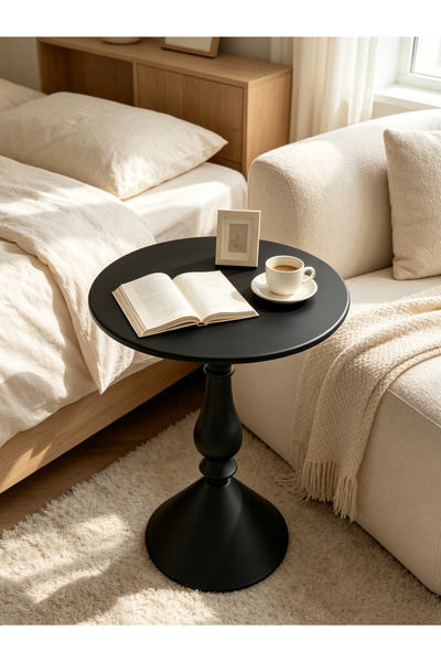 Shangxing Modern Round Side Table, Black Pedestal End Table for Bedroom and L...