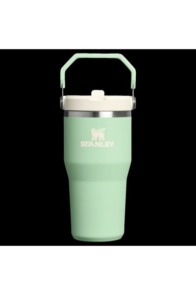 Stanley The IceFlow™ Flip Straw Tumbler 20 oz | Pistachio Pipetli Termos Bard...