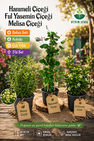 Bitkim Sende Mis Kokulu Melisa Fidanı+Kokulu Ful Yasemin Çiçeği+ Hanımeli (40...
