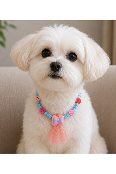 Pawellia.co Stylish Design Cat Collar Cat Necklace Small Breed Dog Collar Dog...