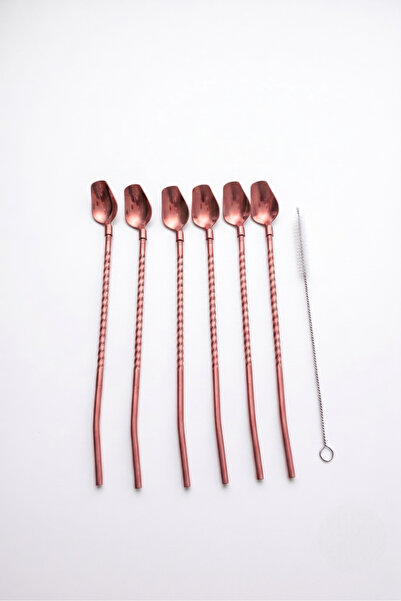 Elista 6'lı Bronz Pipetli Latte Kaşığı Kokteyl Kaşığı Ve Temizleme Fırçası, 2...