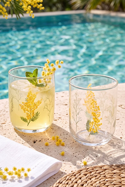 Rakle Mimosa Set of 4 Water Glasses 280 Cc