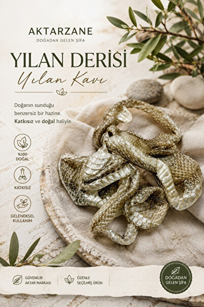 Aktarzane Yılan Derisi Yılan Kavı Yılan Gömleği 70-90cm