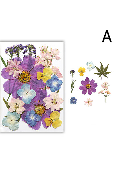 Choice11 A Dried Flowers Real Natural Plant Pressed Flower For Epoxy Resin Fi...