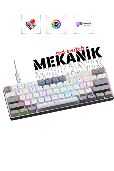 Rever Mekanik Oyuncu Klavyesi Red Switch RGB Led Işıklı Kablolu Gaming Klavye