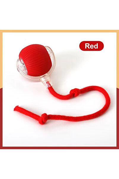 choice2 Red Hot Electric Dog Ball Toys Automatic Rolling Ball Rechargeable Sm...