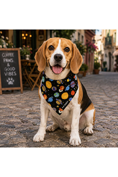 PATİMİO Space Cat And Dog Collar Scarf Bandana