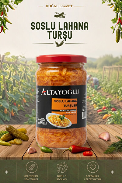 660 CC SOSLU LAHANA TURŞU (350 GR)