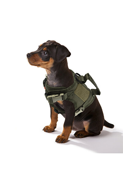 choice2 army green Tactical Small Dog Harness For Puppy Cats Adjustable Kitte...