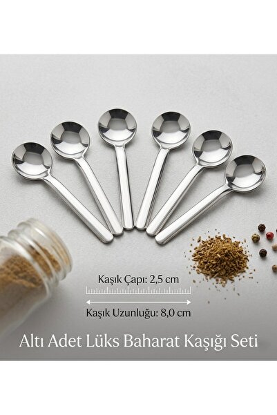 TARIK HOME 6 Adet Paslanmaz Çelik Lüks Baharat Kaşığı Seti - 8 cm Baharatlık ...