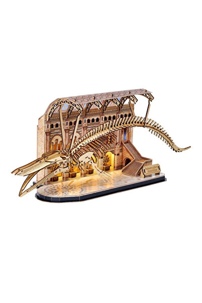 TOYFEST متحف الطبيعة - لغز الحوت الأزرق ثلاثي الأبعاد مع إضاءة LED