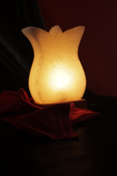 TUZCU KENAN White Tulip Model Salt Lamp with Wooden Base Decorative Ambient Lamp