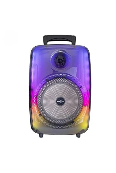 Genel Markalar KTS-1745 Çift 8 İnç Bluetooth Hoparlör Mikrofonlu USB TF AUX