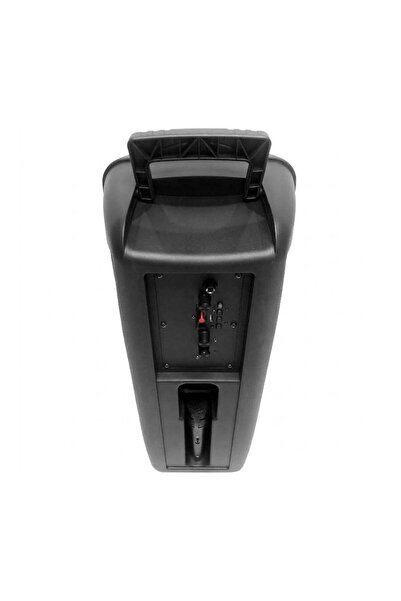 Çeşithane Çift Woofer Bluetooth Hoparlör Mikrofonlu USB TF AUX Taşınabilir
