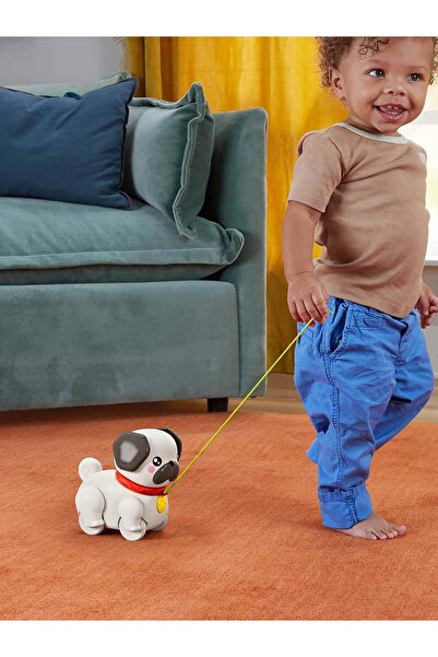 FISHER PRICE Minik Dostumla Yürüyüş - Standart