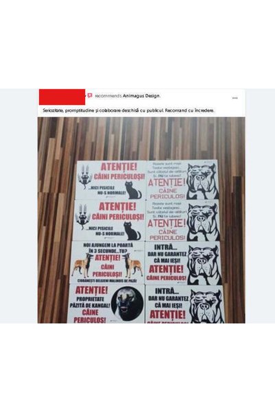 OSM Avertisment: Animale periculoase - Nici pisicile nu sunt normale