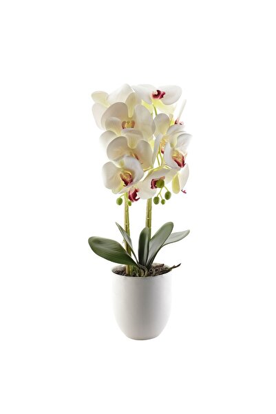 Naimeed Company Orhidee decorativă în ghiveci ceramic, 53 cm, Naimeed D4846, Alb