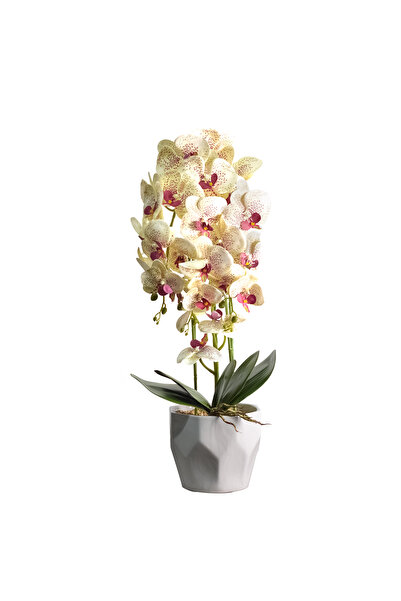 Naimeed Company Orhidee decorativă în ghiveci ceramic, 70 cm, Naimeed D4843, ...