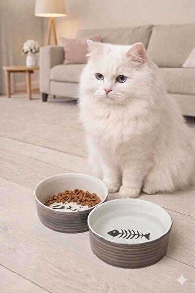ŞURA MUTFAK 2 Li Seramik Kedi Mama ve Su Kabı 300ml