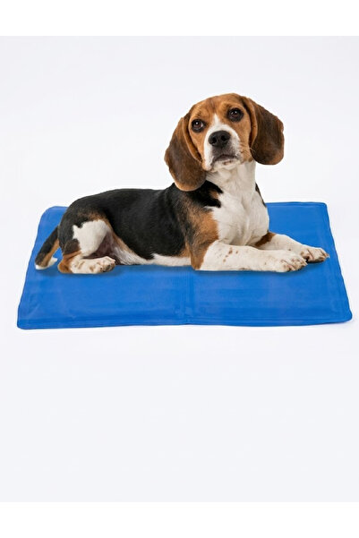 Evendi Pet mat, Blue