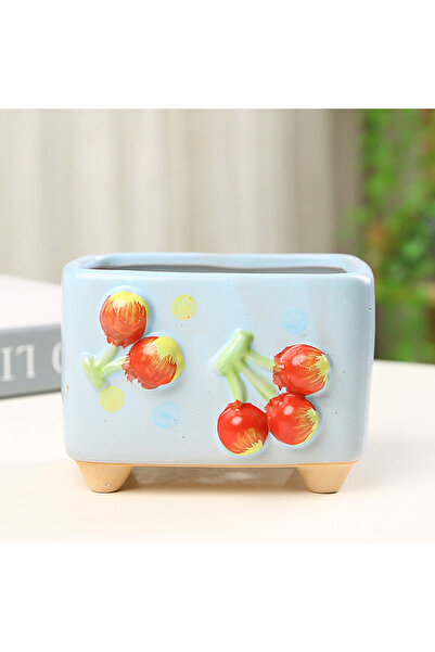 Choice3 10x8x7cm cherry Personalized Rectangular Succulent Horticultural Flow...