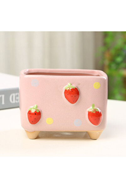 Choice 10x8x7cm strawberry Personalized Rectangular Succulent Horticultural F...