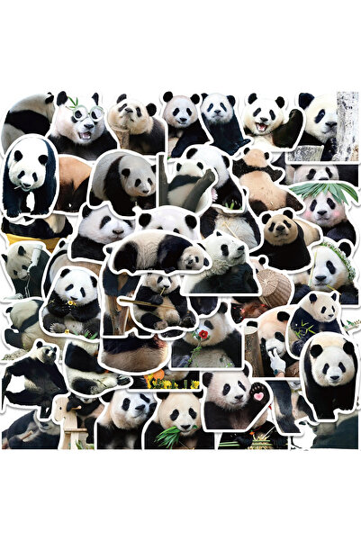 Choice panda 50pcs 50PCS Cute Panda Cartoon Animals Graffiti Stickers DIY Pho...