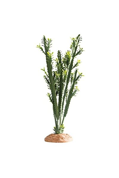 Hobby Euphorbia Διακοσμητικό Φυτό Large 25×10×46cm
