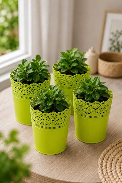 Alezy DAS1 Dantel No:1 - 1.1 Litre Plastik 4'lü Saksı