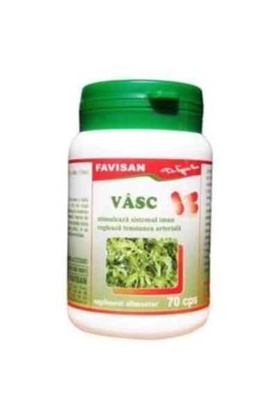 Favisan Vasc Favisan, 70 capsule