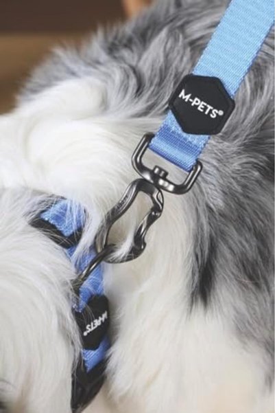 Yıldızan heybemdecom GENTLE DOG GEZDİRME KAYIŞI (M) BLUE 2026 1270989
