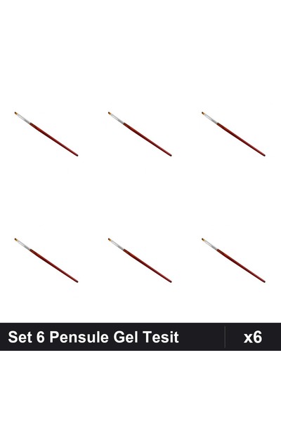 NAİLS Set 6 Pensule Gel Tesit Nr.2 Manichiură Profesională, Pensula Aplicare