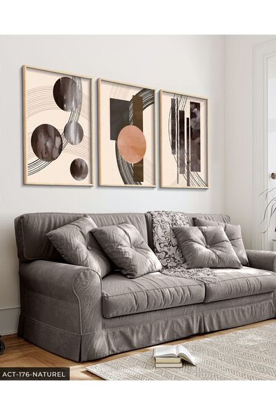 CeSht Circular and Linear Poster 3 Pieces Wooden Framed Painting Act
