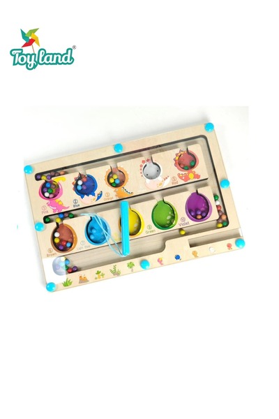 TOY LAND Magnetic Bead Maze Wooden Toy for Kids 3+ | Color & Number Learning ...