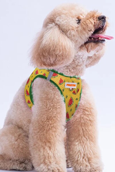 Pawstar Dog Harness