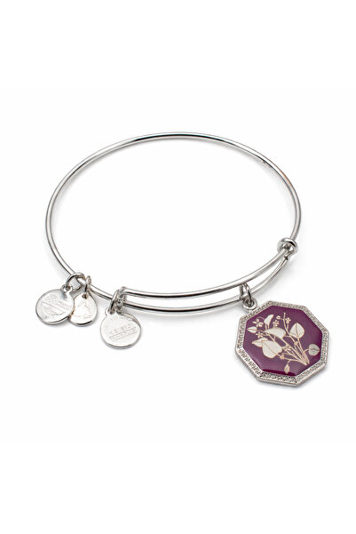 Alex and Ani Bratara Metal A14EB90SS