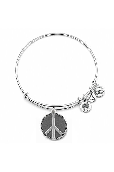 Alex and Ani Bratara Metal A07EB47RS